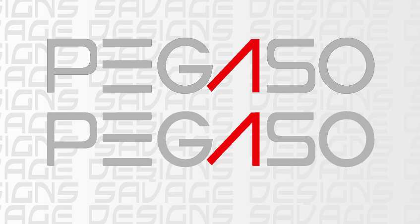Roller Team Pegaso Motorhome Decal - Stickers - Any Size - Any Colours