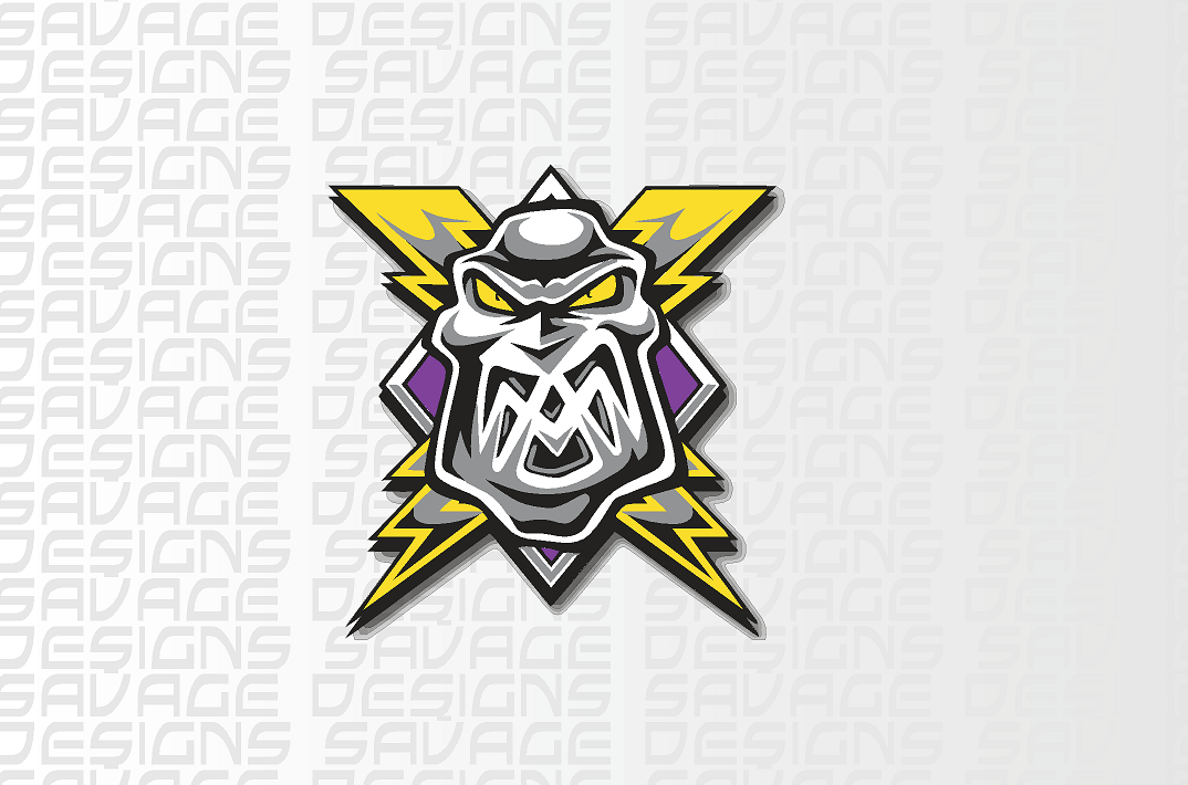 Manchester Storm - Printed Vinyl Sticker
