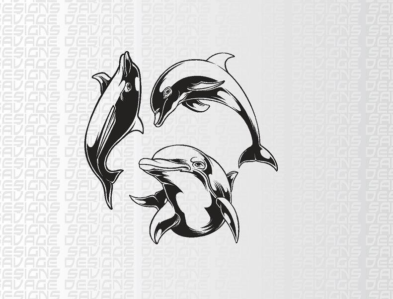 Dolphin silhouette / Camper / Caravan Decals / Stickers Various Sizes