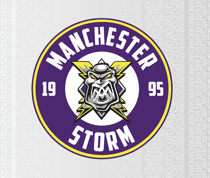 Manchester Storm Printed Vinyl Sticker