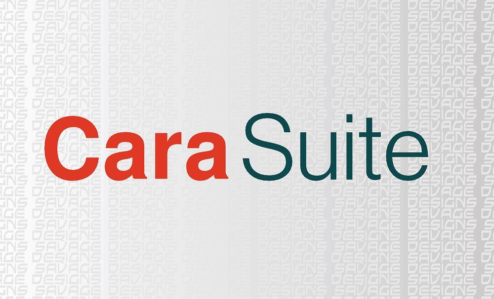 Cara Suite Colour / Motorhome / Caravan Decals Various Sizes / Colours