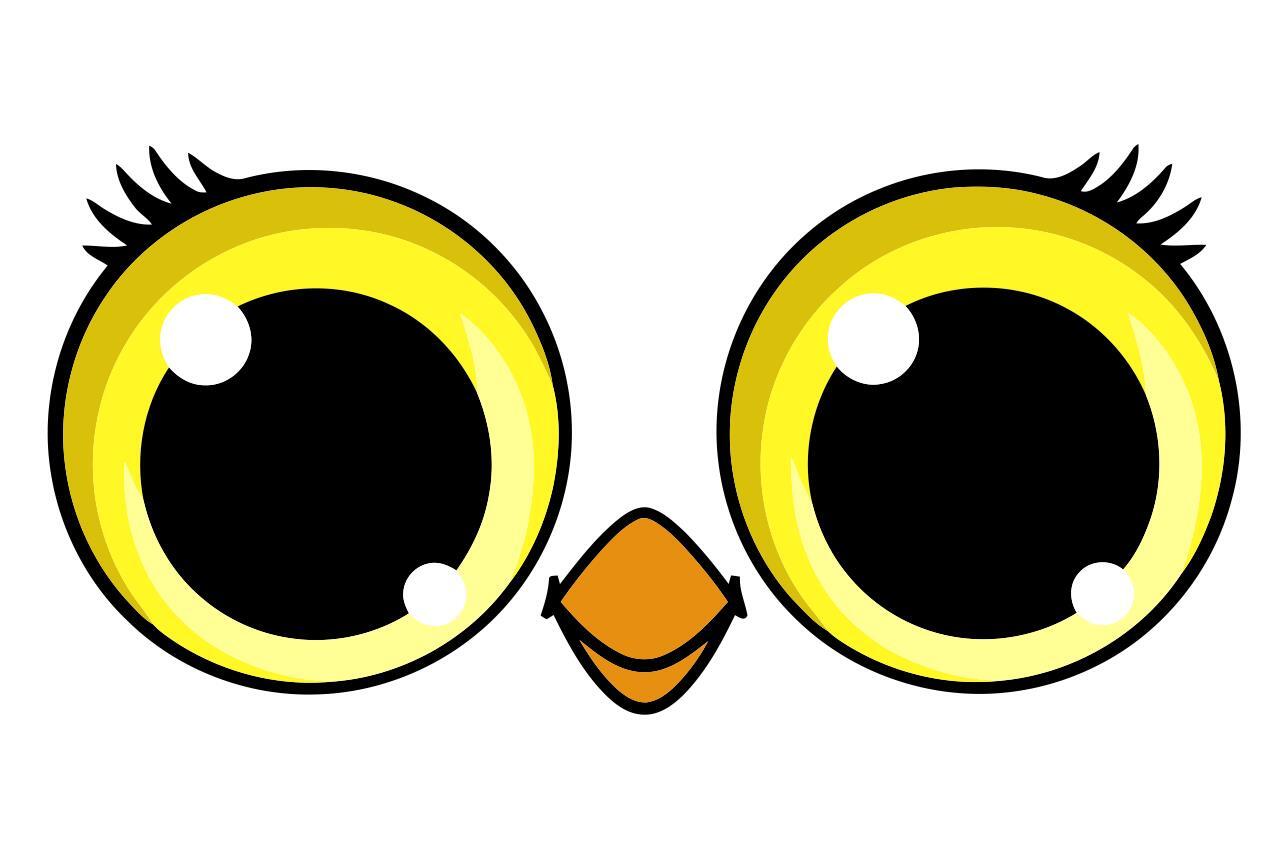 Giant Bird Car Eyes Decals / Stickers car - camper - caravan