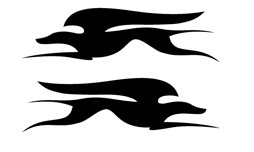 LAIKA single colour of choice - Motorhome Logo sticker decal camper caravan
