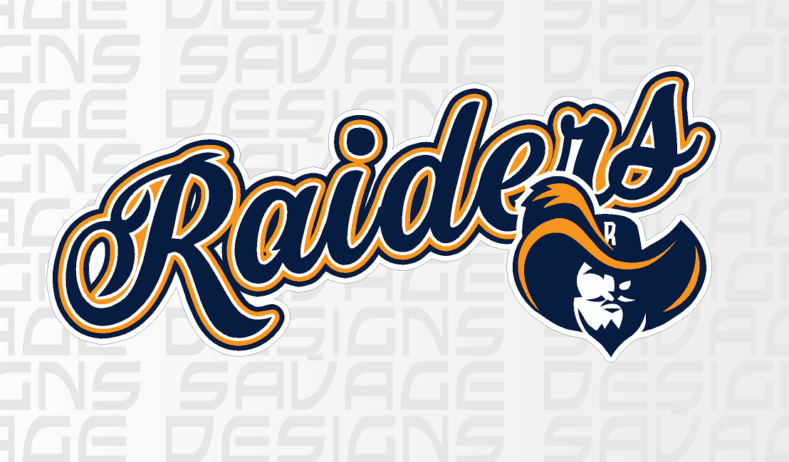 Romford Raiders Ice Hockey car bumper sticker / wall decal