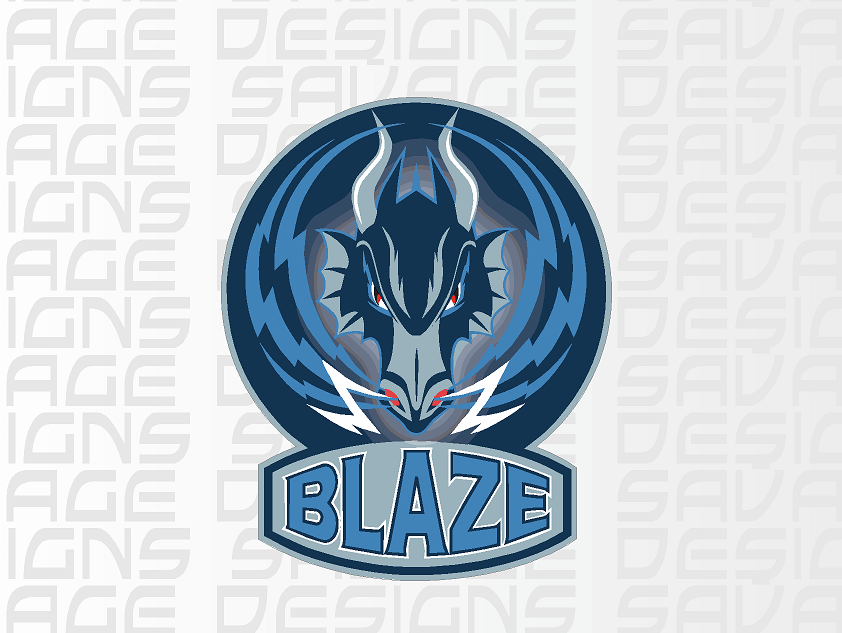 Coventry Blaze Printed Vinyl Sticker
