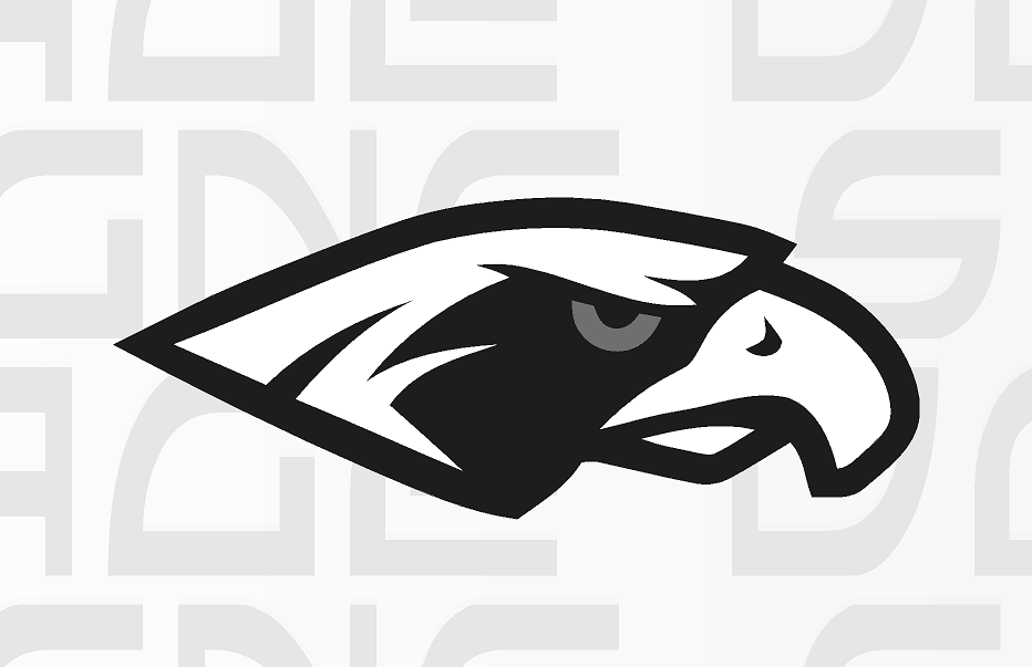 Hull Seahawks Ice Hockey car bumper sticker / wall decal