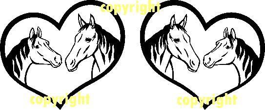 Large Horse Box Vinyl Decals for Horse Lorry , Hors Box, House Wall , Car etc